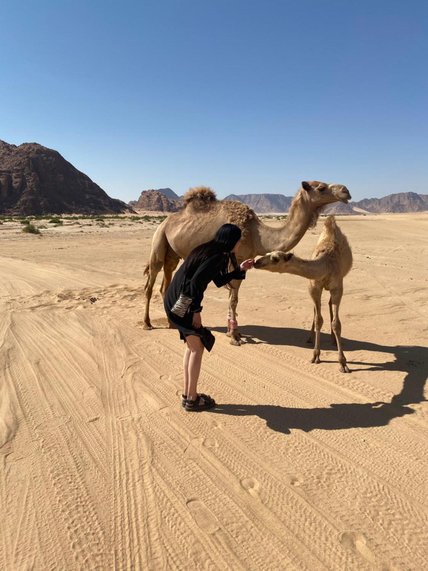 Desert'S Soul Wadi Rum Ad Disah Exteriör bild